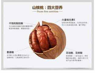 山核桃和核桃的区别 山核桃的功效与作用