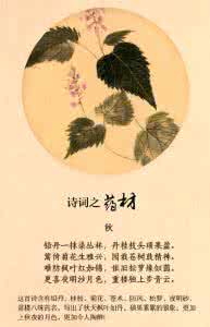引药入诗，字字都是草药香！