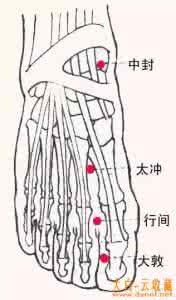 【太冲穴】人体第一大要穴，治感冒，调情绪