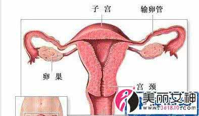 组图：女人阴唇“变色”全过程