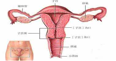 人流后宫腔粘连的症状 人流后宫腔粘连的原因？