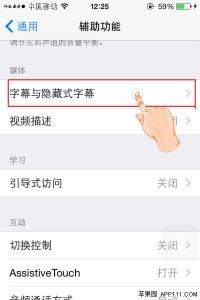 媒体查询样式不起作用 IOS8选择媒体字幕显示样式