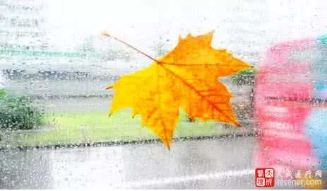 秋意浓 秋风秋雨秋意浓 秋意来临 老人须防“秋风”来袭