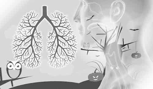 呼吸道病原菌核酸检测 呼吸道病原菌核酸检测 下呼吸道病原菌检测迎来“时间革命”