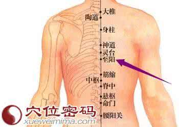 督脉 至阳穴_(督脉)查询