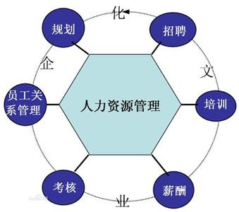 学习人力资源 学习人力资源管理的几点心得_学习人力资源
