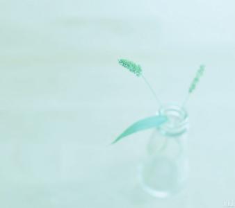 小清新薄荷绿壁纸大全 小清新薄荷绿壁纸 有一种小清新叫薄荷绿据说有治愈心灵的魔力
