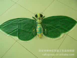 竹子编筐图解教程 竹子筐生小黑虫怎么办？