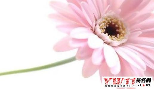 人生感悟生命的感悟 心情似湖,快乐是生命的花朵【人生感悟】