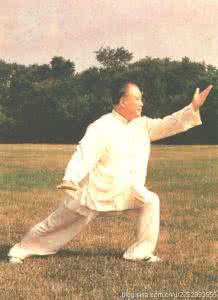 杨式太极拳85式视频 你真正悟出杨式太极拳太极十要了吗？