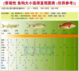 鱼钩大小 鱼钩大小直观图