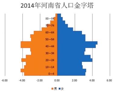 政策 国策 战略 人口发展战略