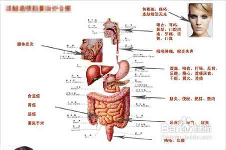 便秘怎么调理 便秘怎么调理 解析便秘的4大原因
