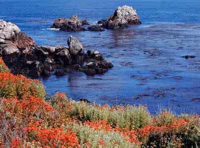 海岸风光儿童摄影 无奇不有 :大海海岸风光
