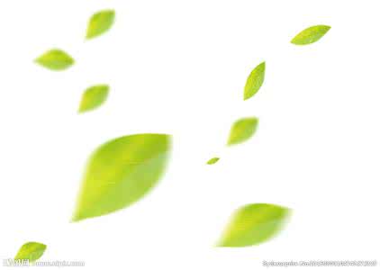 叶子装饰画 叶子领饰