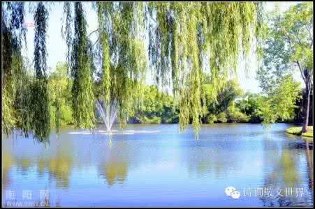 晓带轻烟间杏花 描写柳树 ? ?晓带轻烟间杏花,晚凝深翠拂平沙