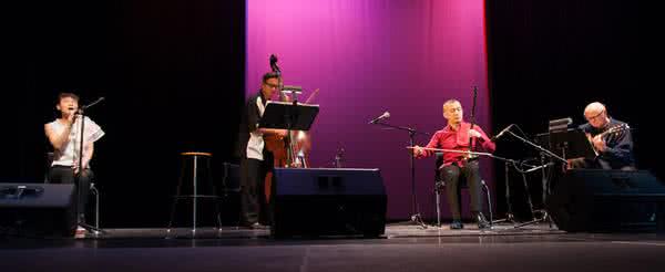 二胡演奏家高韶青 二胡演奏家高韶青演奏精选集（10首）