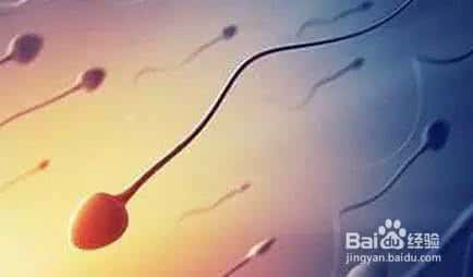 精子卵子 活力曲线 精子活力低怀孕小妙招 让你卵子更健康活力的七个妙招