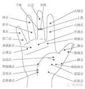 国王的全息图 【一点资讯】最全的经络穴位全息图，值得收藏！ (Yidianzixun.com)