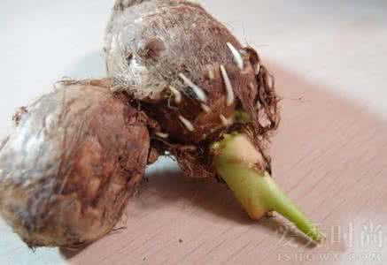 芋头与什么食物相克 芋头发芽能吃吗以及食物相克表