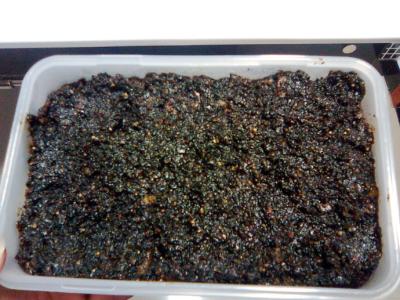 固元膏配方及制作方法 固元膏的做法