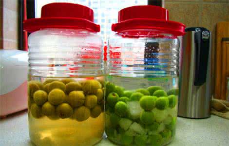 闈掓?閰掔殑鍋氭硶 青梅酒的做法大全 揭秘自制青梅酒的正宗做法