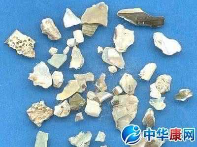 石决明的副作用 石决明的副作用与功效