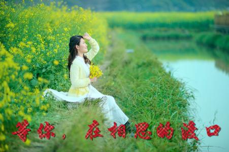 我在渡口等你读后感 缱绻在相思的渡口等你......【情感美文】