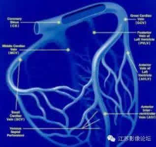 形容了解透彻的成语 带你透彻的了解检查心脏的5大方式