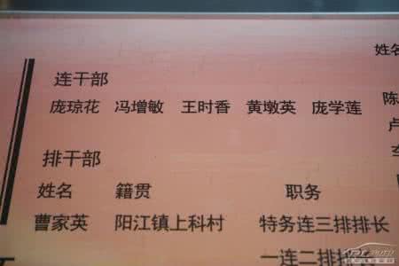 开大货的女司机 老司机压箱底货,几张图教你开出完美行车距离!