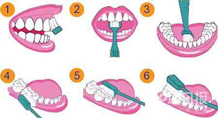 flash制作精美动画 最有效的刷牙方法，精美动画教程！