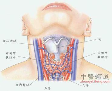 甲状腺疾病治疗 甲状腺疾病都可以这样治疗 