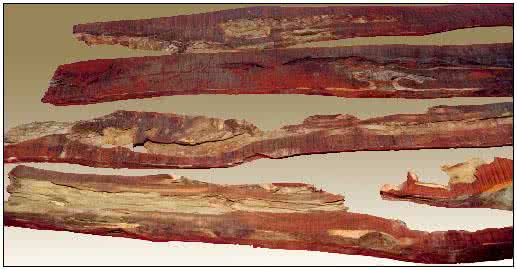 小叶紫檀的药用功效 浅谈紫檀木药理作用