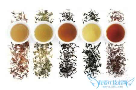 生茶与熟茶的区别 生茶与熟茶的区别是什么?