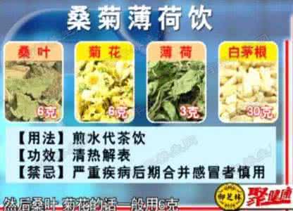 综艺大热门20160229 20160229聚健康视频和笔记:魏汉林,表热,发热,桑菊薄荷饮,感冒