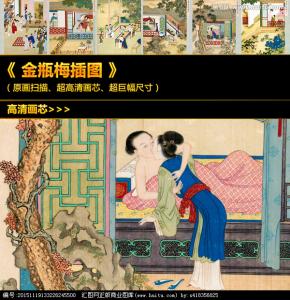 新 金 瓶 梅 续 集 金瓶梅的歇后语