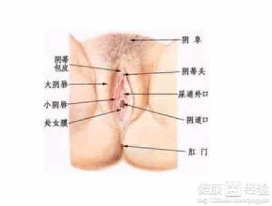 外阴瘙痒用什么药膏好 外阴痒用什么药 外阴瘙痒用什么药膏好