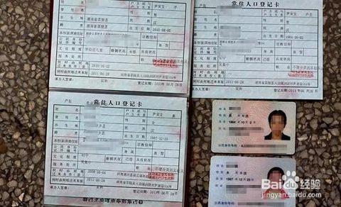 贴资格证书相片专用页 表(七)(贴资格相片、身份证复印件页)