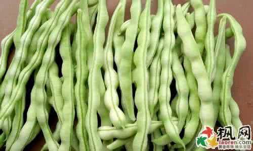 孕妇梦见摘长豆角 梦见摘长豆角 梦见摘豆角