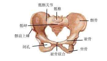 孕晚期耻骨疼是男孩吗 孕晚期耻骨疼怎么缓解 孕晚期耻骨痛生男孩吗孕晚期耻骨痛原因及缓解办法