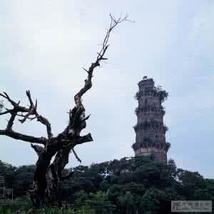 潮州朋友圈疯传 潮州的朋友应该知道这个古塔