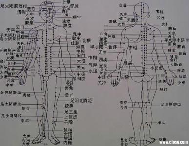 人体穴位与疾病治疗（图）