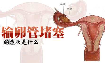 输卵管堵塞治疗方法 输卵管堵塞的症状 输卵管堵塞的治疗方法