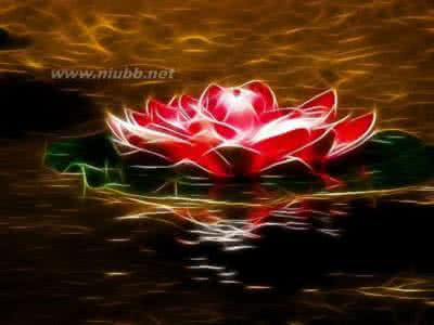 花露水的妙用 【生活锦囊】你不知道的花露水妙用