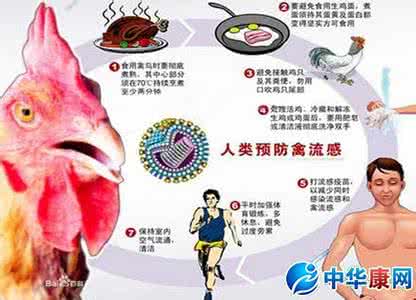 胆固醇高的食物 胆固醇高了怎么办 10种食物6种方法你知晓吗