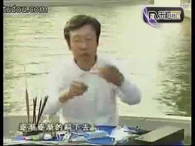 cctv5钓鱼教学视频 cctv钓鱼教学(视频)