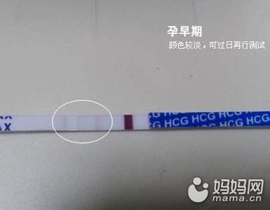 下午用试纸验孕准确吗 一般下午测试的验孕试纸准吗
