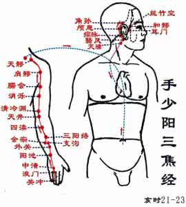 经络敲打治百病大全集 经络敲打，轻松敲出美人来
