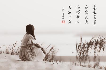 白露为霜所谓伊人 经典音乐：蒹葭苍苍，白露为霜，所谓伊人，《在水一方》