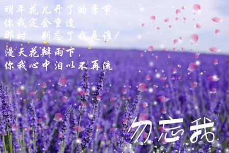 初中最后一个夏天说说 初中最后一个夏天